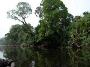 Lake Bermin: globally highest in endemism