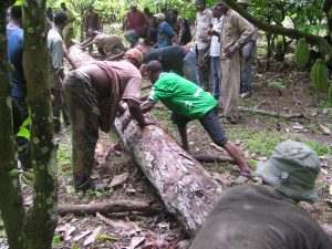 Food conservation