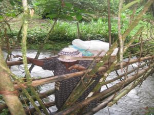 carrying baskets of produce to the distant market in Muambong